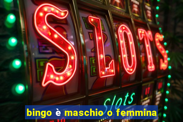 bingo è maschio o femmina