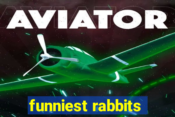 funniest rabbits