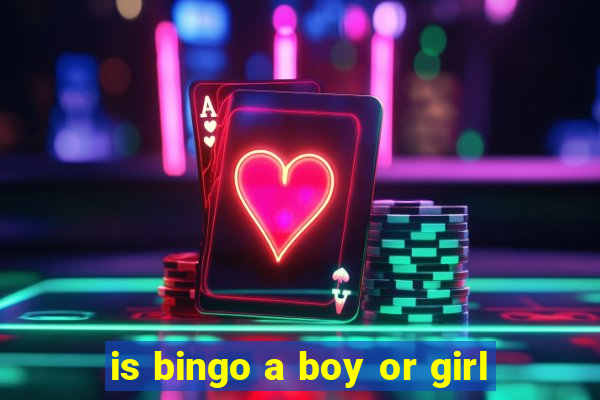 is bingo a boy or girl