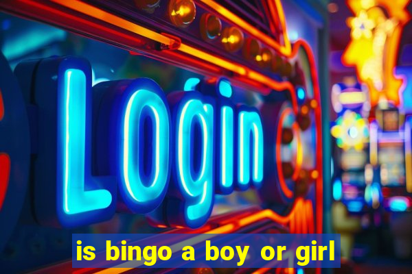 is bingo a boy or girl