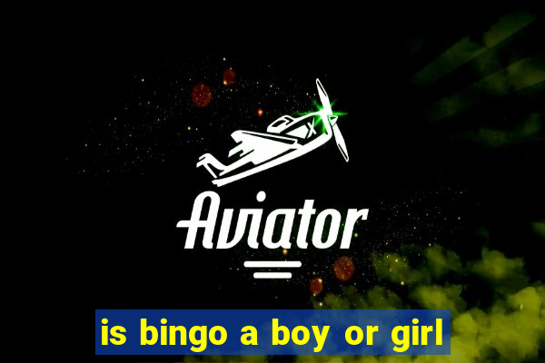 is bingo a boy or girl