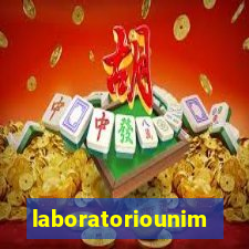 laboratoriounimedblumenau.com.br