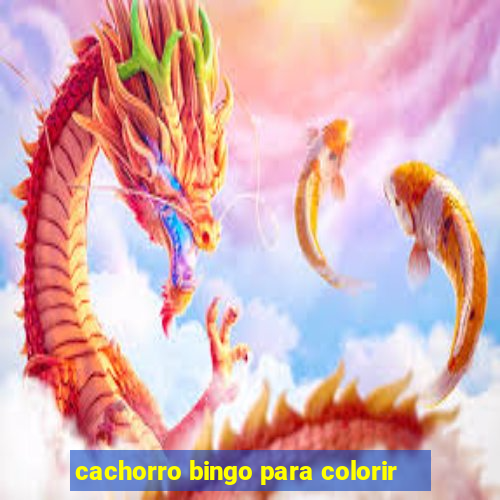 cachorro bingo para colorir