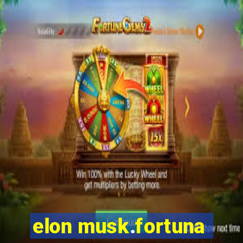 elon musk.fortuna