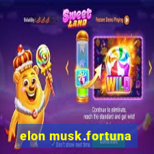 elon musk.fortuna