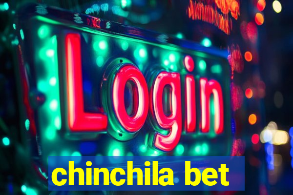 chinchila bet