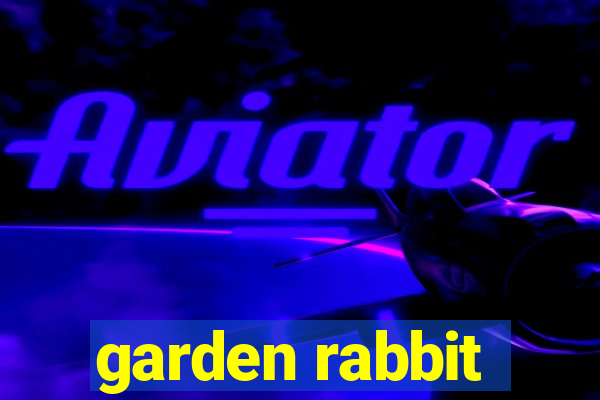 garden rabbit