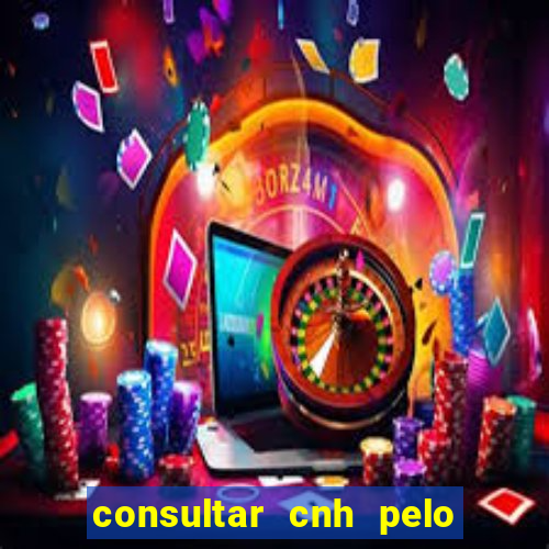 consultar cnh pelo cpf sp