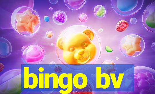 bingo bv