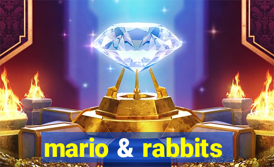 mario & rabbits