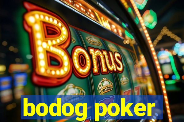 bodog poker