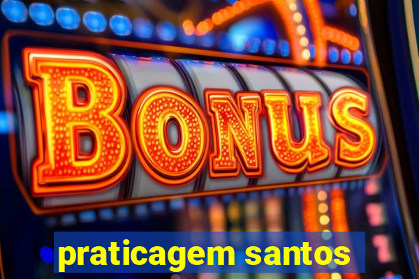 praticagem santos