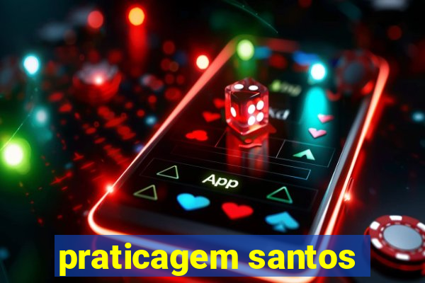 praticagem santos