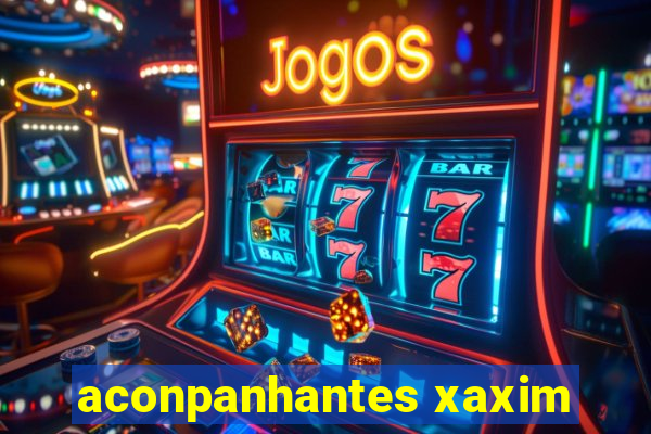 aconpanhantes xaxim