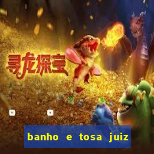 banho e tosa juiz de fora