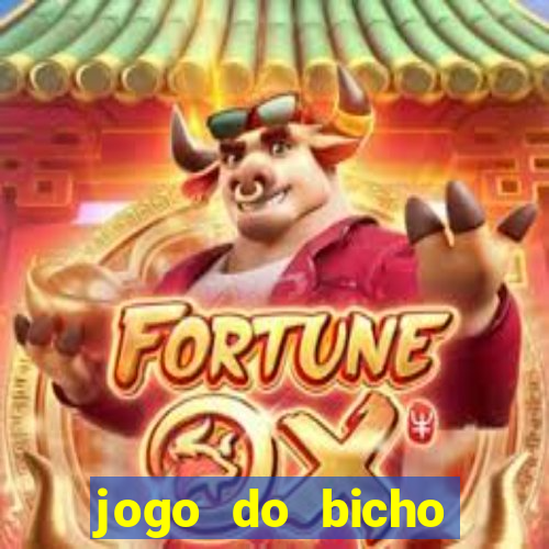 jogo do bicho federal aposta online