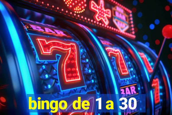 bingo de 1 a 30