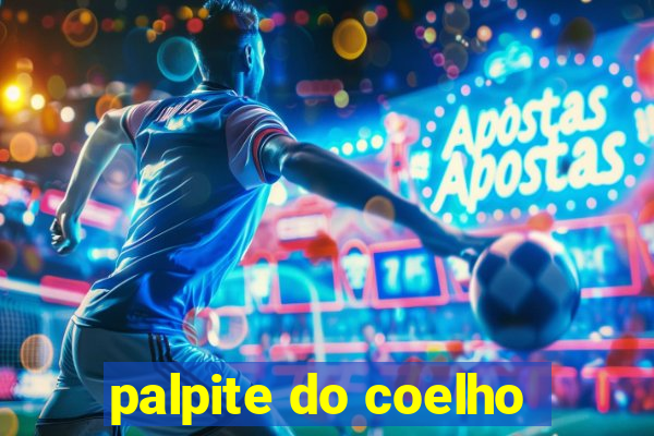 palpite do coelho