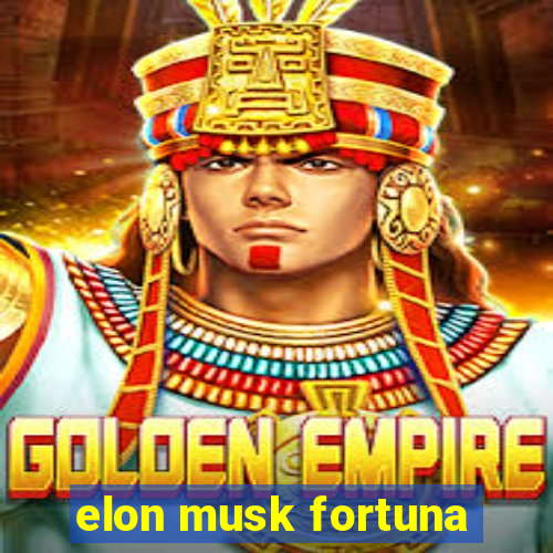 elon musk fortuna