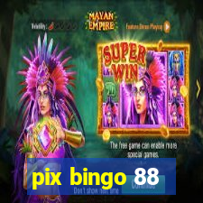 pix bingo 88