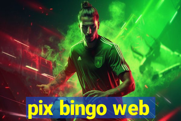 pix bingo web