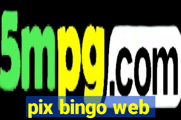 pix bingo web