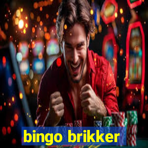 bingo brikker