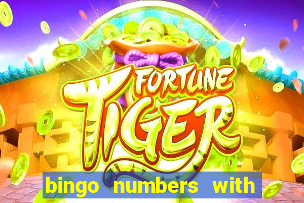 bingo numbers with highest probability