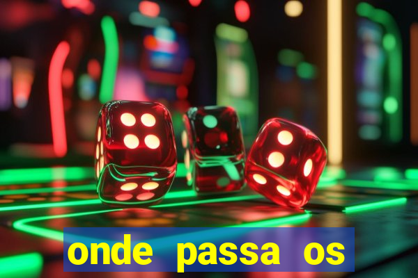 onde passa os jogos do brasileir?o