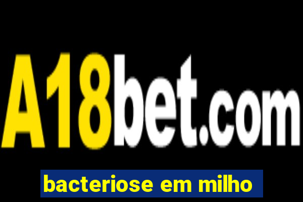 bacteriose em milho