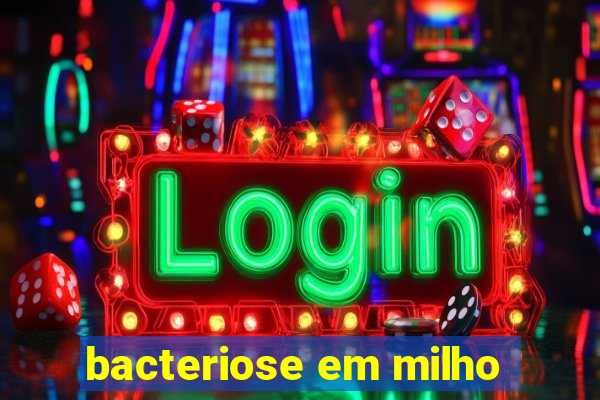 bacteriose em milho