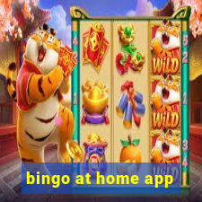 bingo at home app