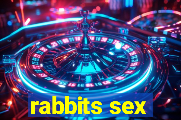 rabbits sex