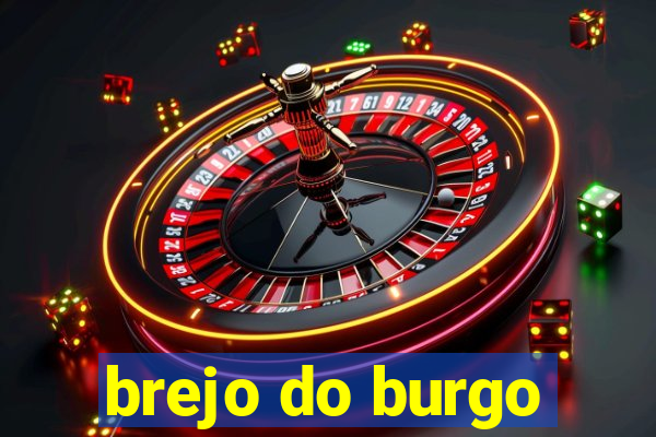 brejo do burgo