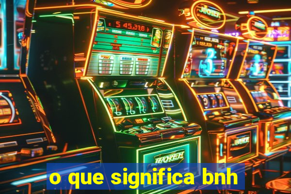 o que significa bnh