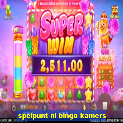 spelpunt nl bingo kamers