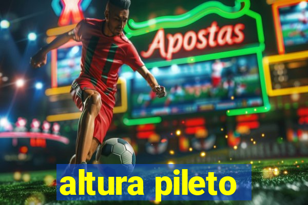 altura pileto