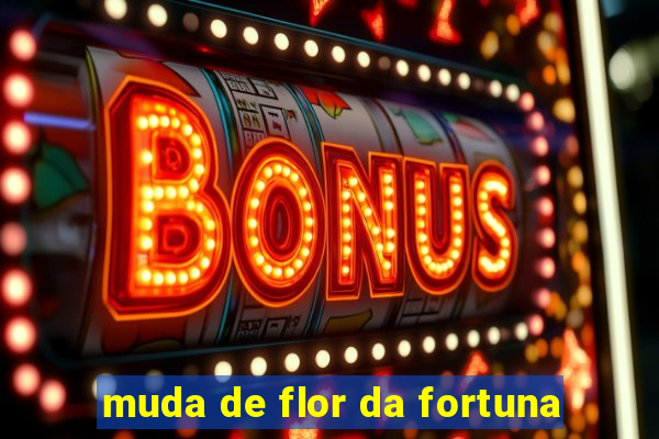 muda de flor da fortuna