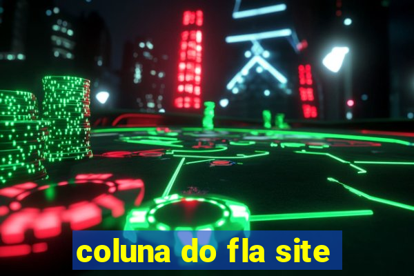 coluna do fla site