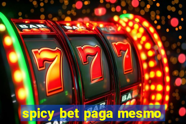 spicy bet paga mesmo