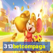 313betcompaga