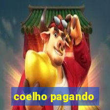 coelho pagando