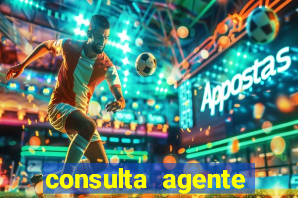 consulta agente autuador sp