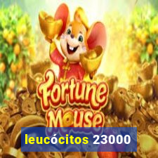 leucócitos 23000