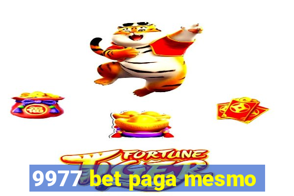 9977 bet paga mesmo