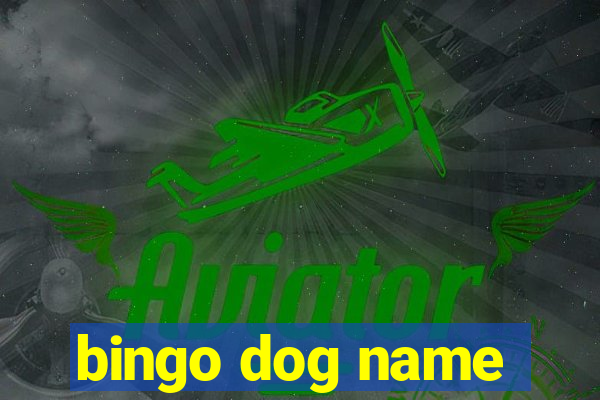 bingo dog name