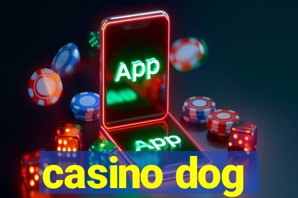 casino dog