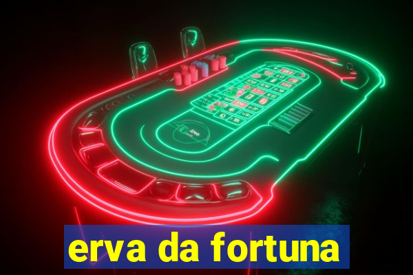 erva da fortuna