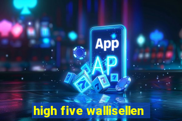 high five wallisellen