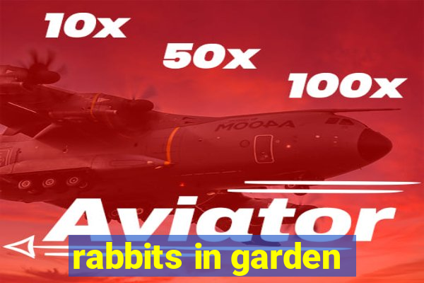 rabbits in garden